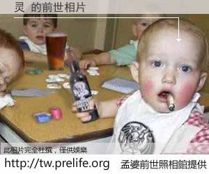 灵 的前世相片