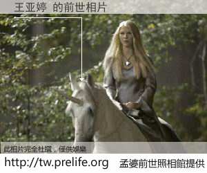 王亚婷 的前世相片