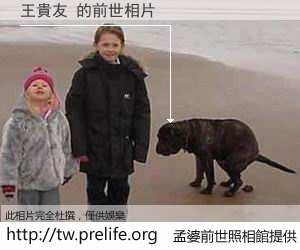 王貴友 的前世相片
