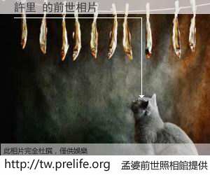 許里 的前世相片