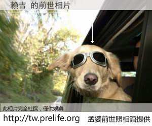 賴吉 的前世相片