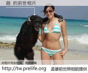 趟 的前世相片