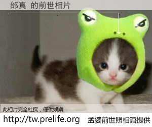 邰真 的前世相片