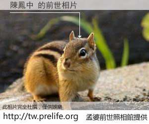 陳鳳中 的前世相片