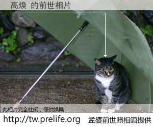 高煥 的前世相片