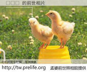 웹스톰 的前世相片