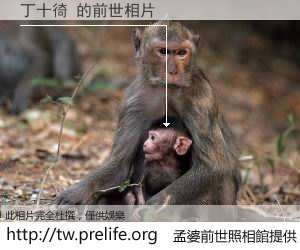 丁十徛 的前世相片