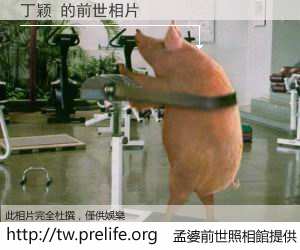 丁颖 的前世相片