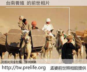 台南養殖 的前世相片