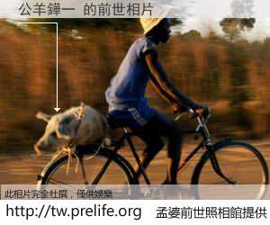 公羊鏵一 的前世相片