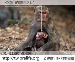 公鐿 的前世相片