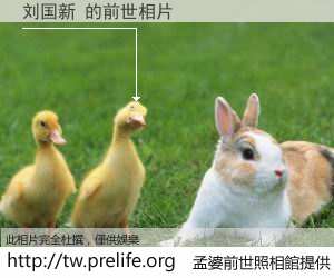 刘国新 的前世相片