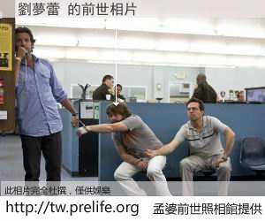 劉夢蕾 的前世相片