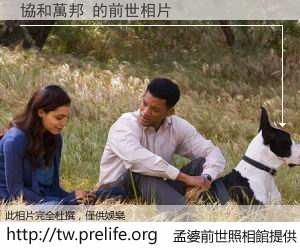 協和萬邦 的前世相片