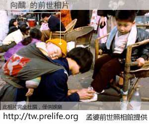 向醹 的前世相片