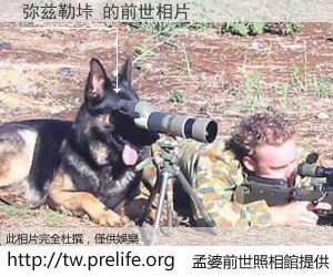 弥兹勒垰 的前世相片