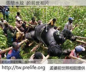 張簡水紋 的前世相片