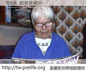 抠B呆 的前世相片