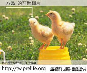 方品 的前世相片