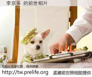 李京多 的前世相片