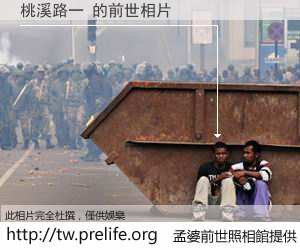 桃溪路一 的前世相片