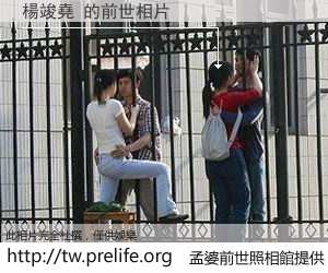 楊竣堯 的前世相片