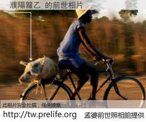 濮陽籮乙 的前世相片