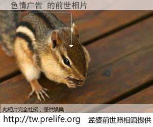 色情广告 的前世相片