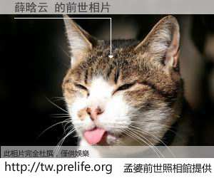 薛晗云 的前世相片