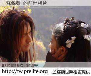 蘇錦發 的前世相片