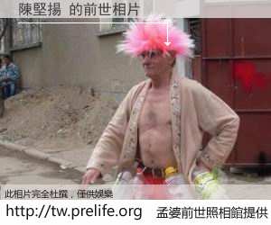 陳堅揚 的前世相片