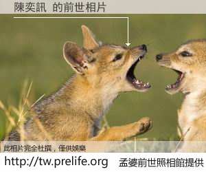 陳奕訊 的前世相片