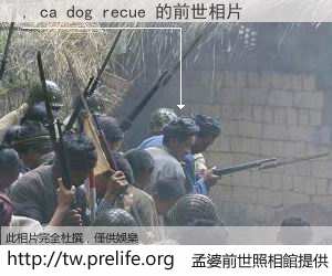 , ca dog recue 的前世相片