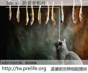 3ds xl 的前世相片