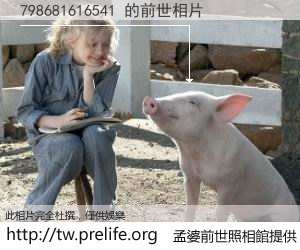 798681616541 的前世相片