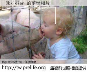 Obxidian 的前世相片
