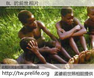 BL 的前世相片