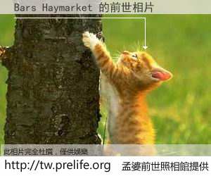 Bars Haymarket 的前世相片