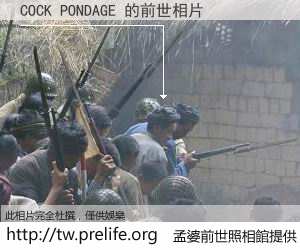 COCK PONDAGE 的前世相片