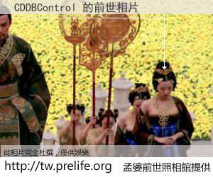 CDDBControl 的前世相片
