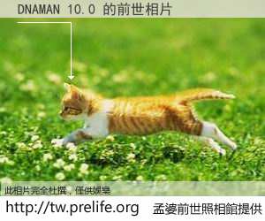 DNAMAN 10.0 的前世相片