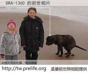 DRA-1360 的前世相片