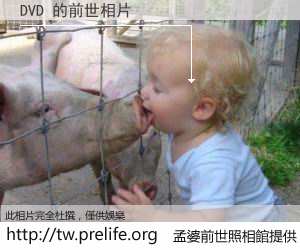 DVD 的前世相片