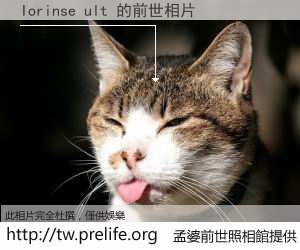 Iorinse ult 的前世相片