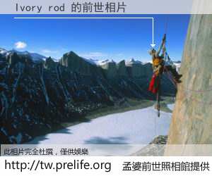 Ivory rod 的前世相片