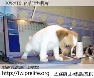 KMR=TC 的前世相片