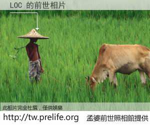 LOC 的前世相片