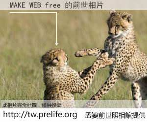 MAKE WEB free 的前世相片