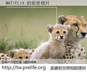 MATIFLIX 的前世相片