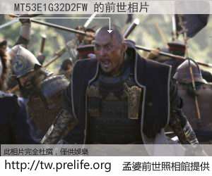 MT53E1G32D2FW 的前世相片